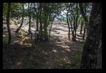 Perperikon -01-09-2018 - Bogdan Balaban
